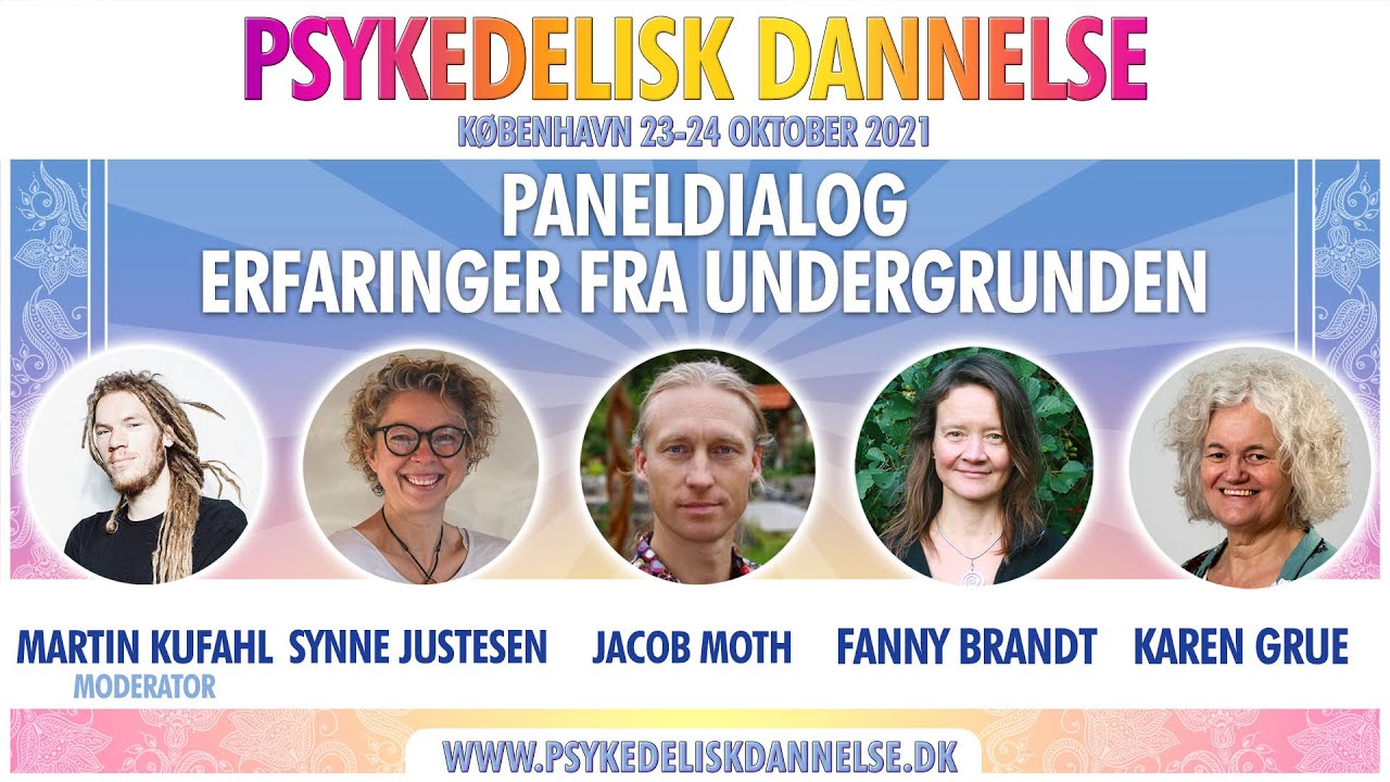 You are currently viewing Erfaringer fra undergrunden – paneldialog